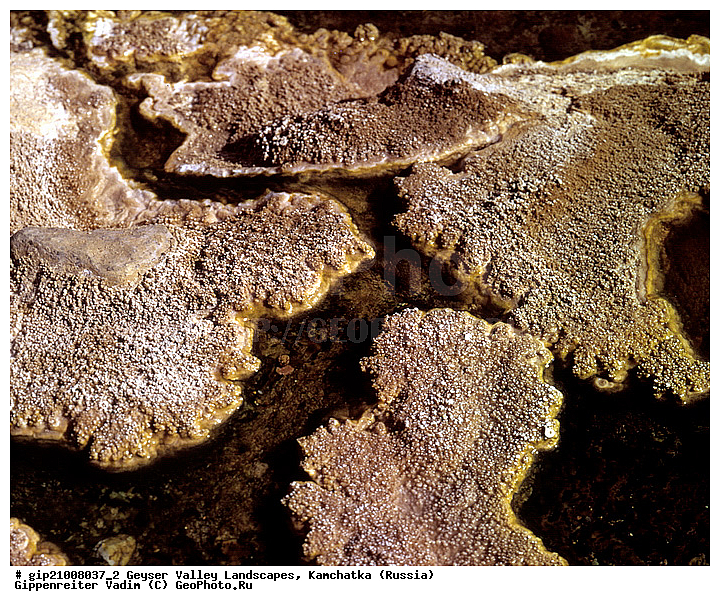 �������������, ������ �������, ��������, ���������, �������������, ������, ���������� ��������, ���������� ����, ��������, ������, ������� ������