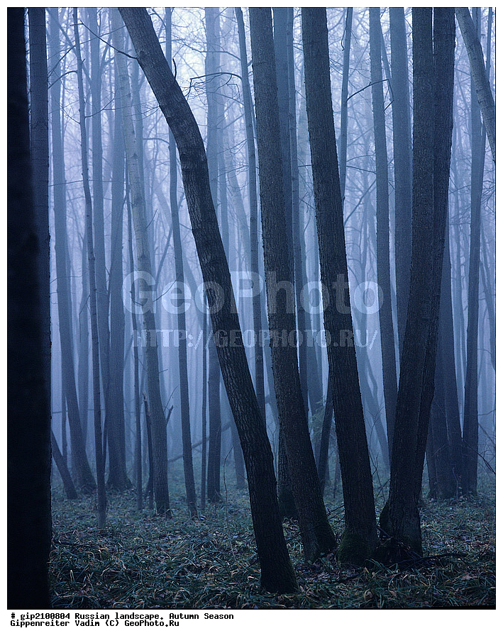 ������, ������� ����, �������, �����, ������, �������������, ����� ������������, 