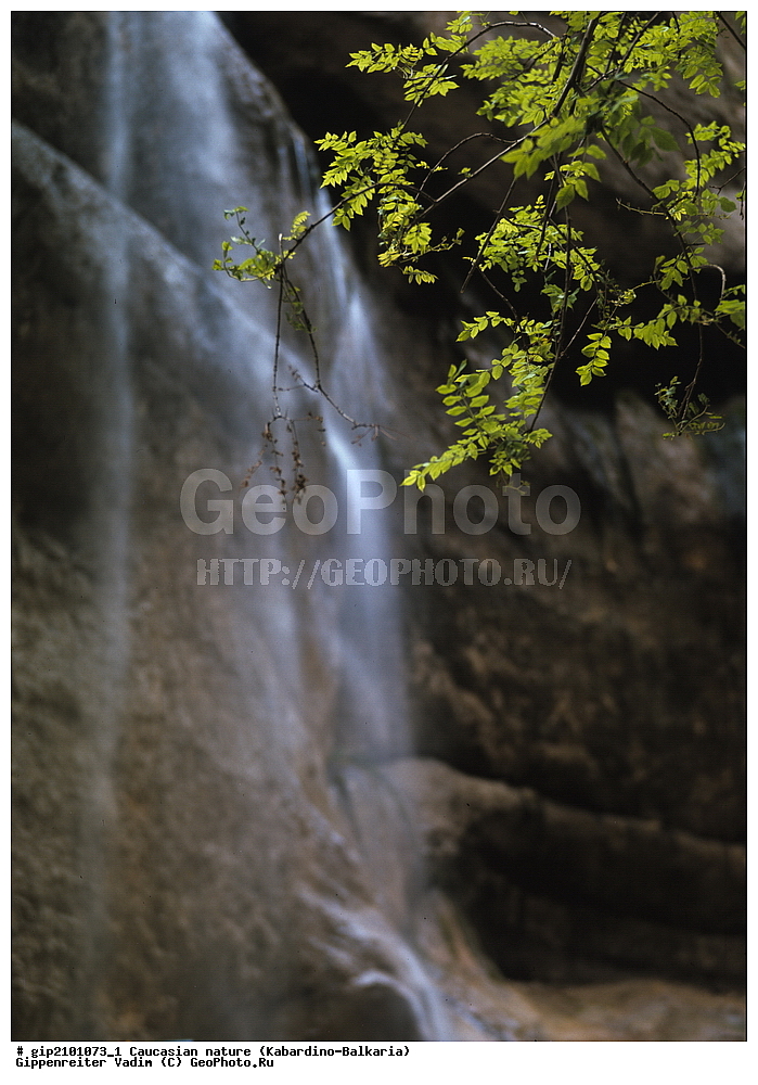 ������, �������, ������������, �������� ������, ���������-��������