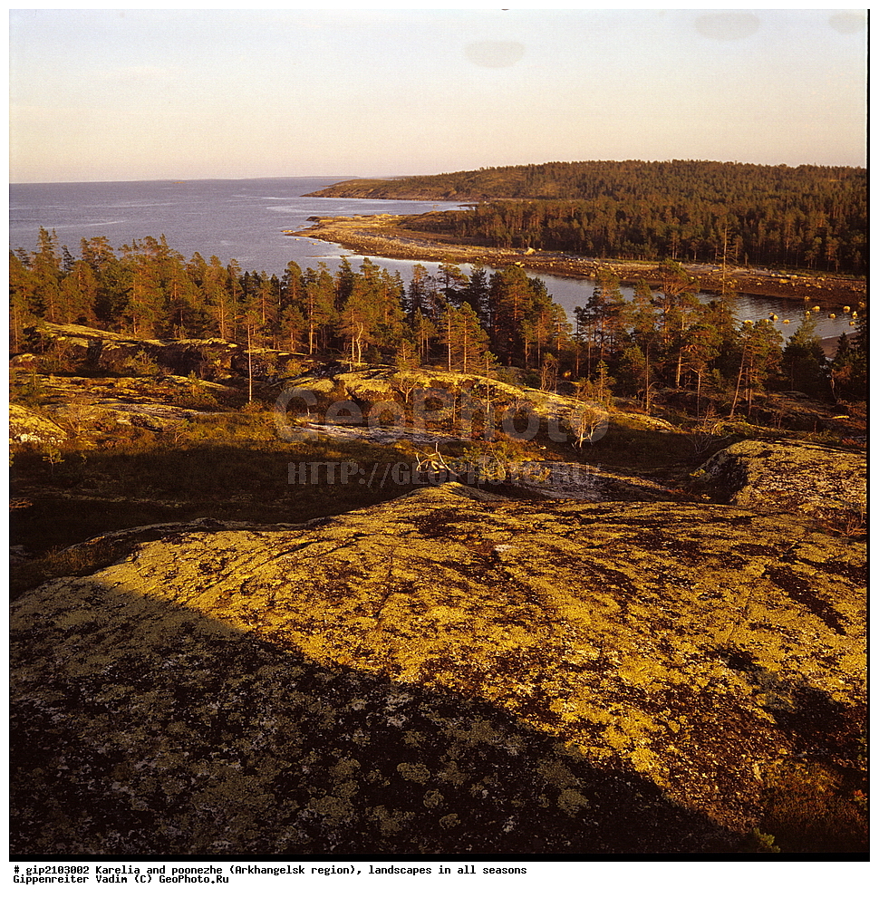 �������, ��������, ������, ������� ����