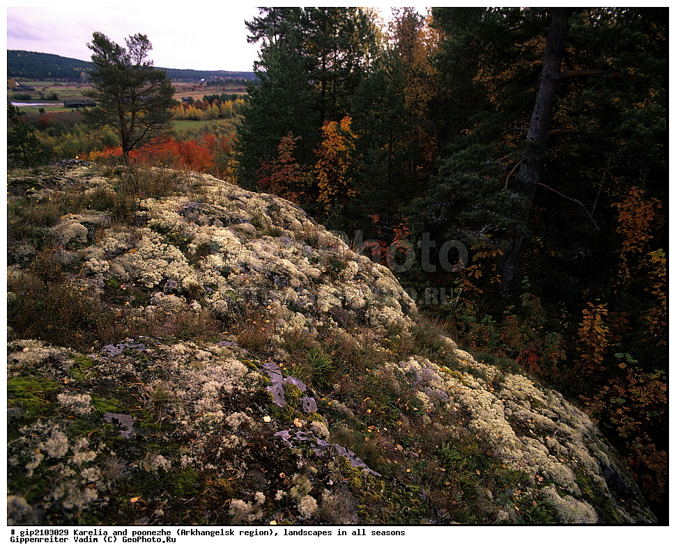 �������, ��������, ������, ������� ����