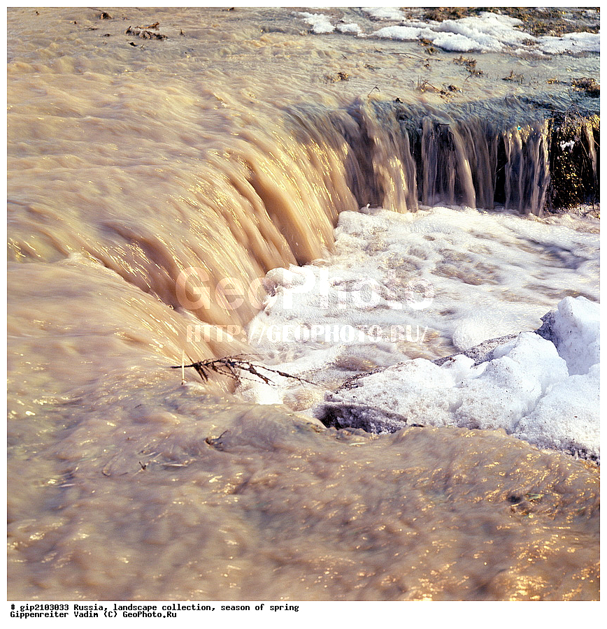 �����, ������, ����� ������������, ������� ����