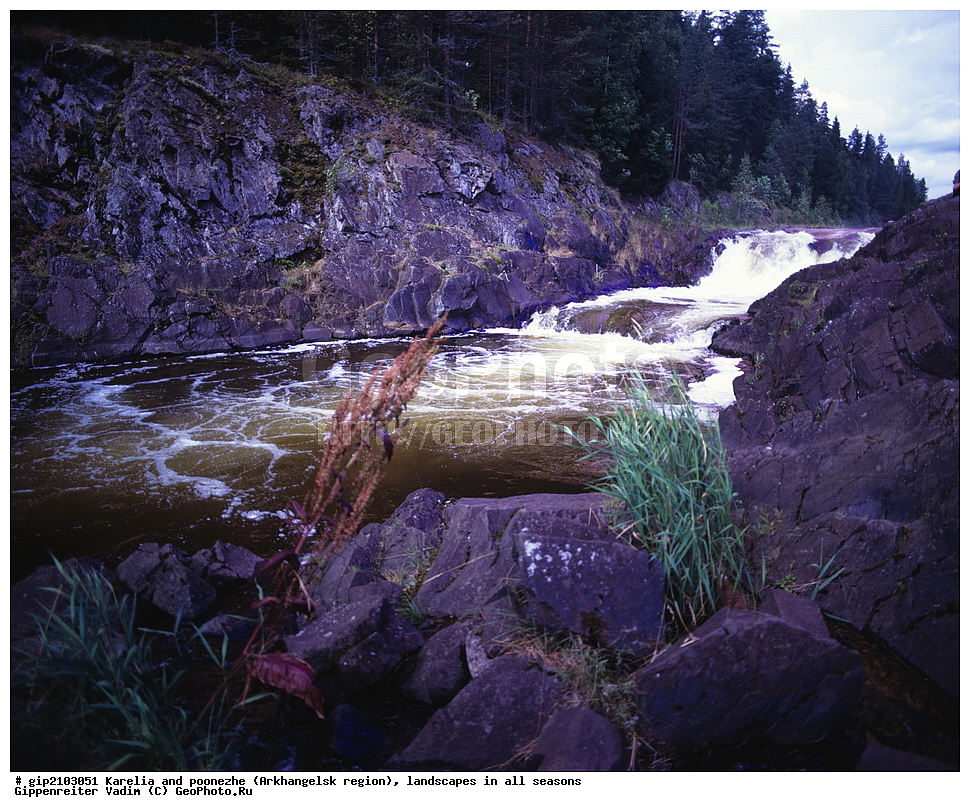 �������, ��������, ������, ������� ����