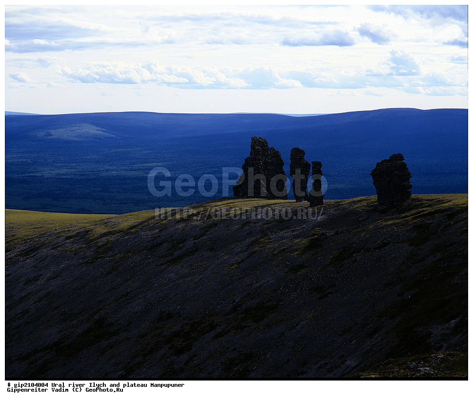 ����, ����, ����, �����, �����������