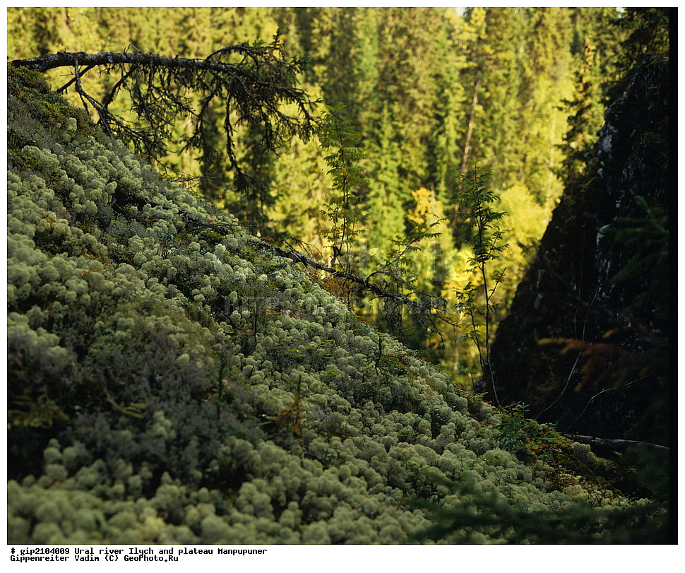 ����, ����, ����, �����, �����������