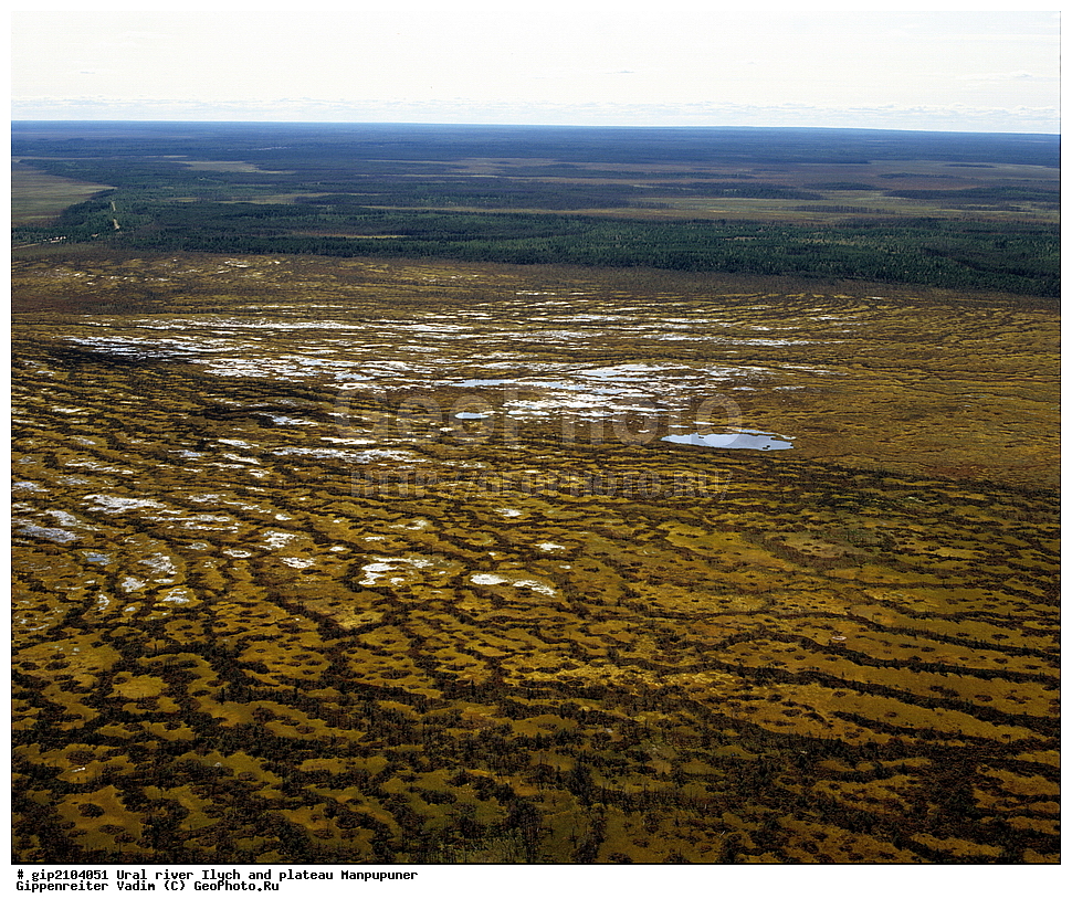 ����, ����, ����, �����, �����������