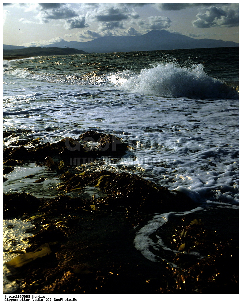 ������, �������, �����, ����������, �������� ����, ���������, ����������