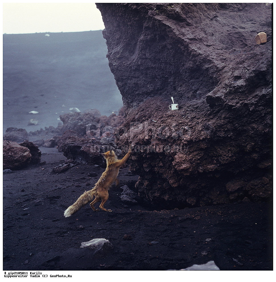 ������, �������, �����, ����������, �������� ����, ���������, ����������