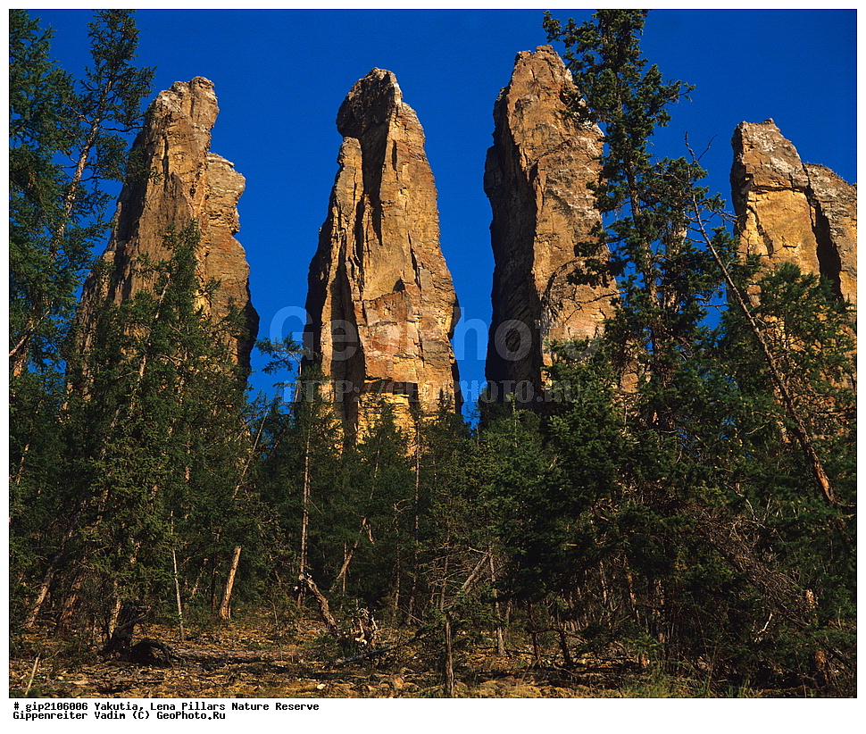 ������, ����������, ������� ������