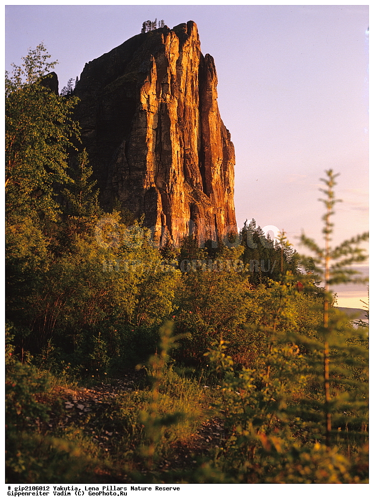 ������, ����������, ������� ������