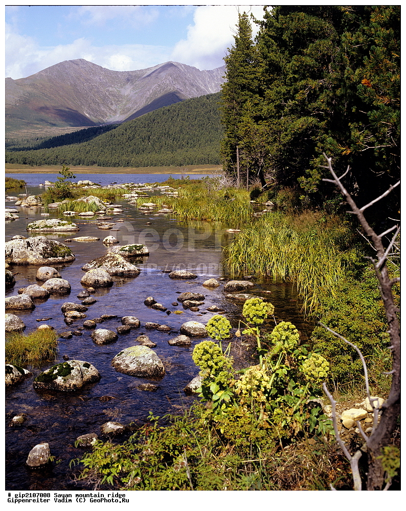 �����, ����, ������ ������