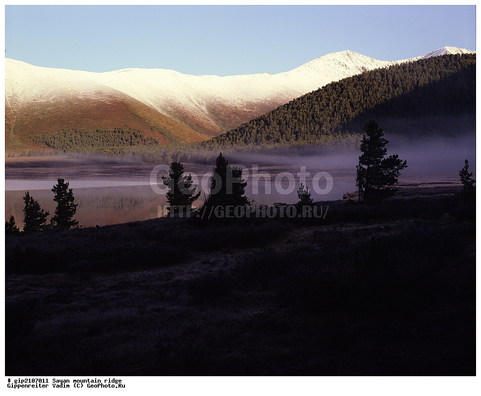 �����, ����, ������ ������