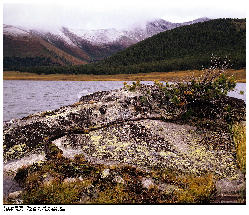 �����, ����, ������ ������