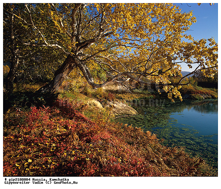 ��������, ������, �����, ������, ����, ���������� ��������, ���������� ����, ��������, ������, ������� ������