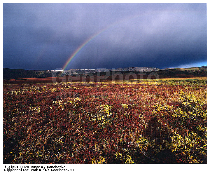 ��������, �����, ������, ������, ���������� ��������, ���������� ����, ��������, ������, ������� ������