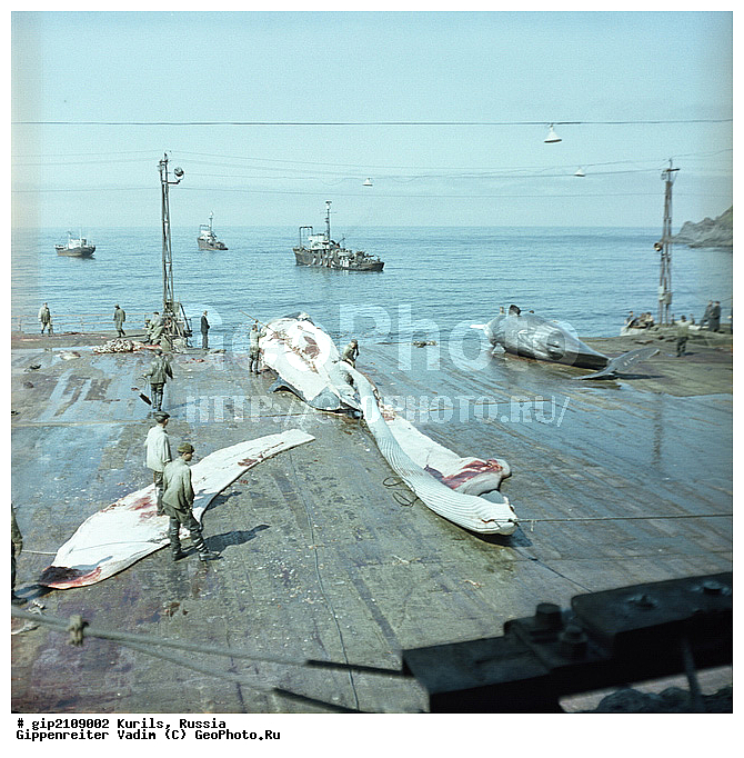 ������, �������� ������, ���������� ��������