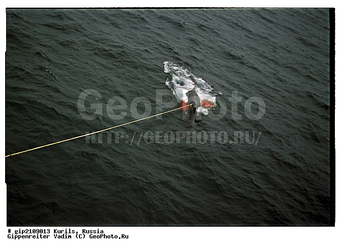 ������, �������� ������, ���������� ��������