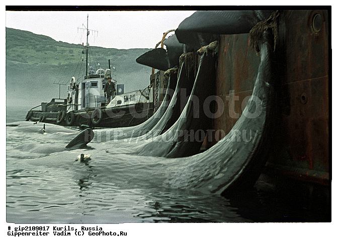 ������, �������� ������, ���������� ��������