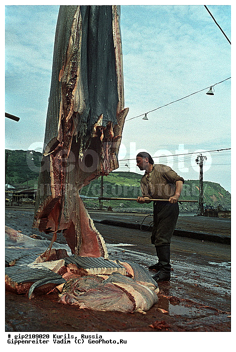 ������, �������� ������, ���������� ��������