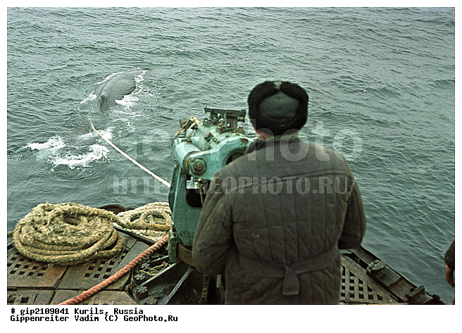 ������, �������� ������, ���������� ��������