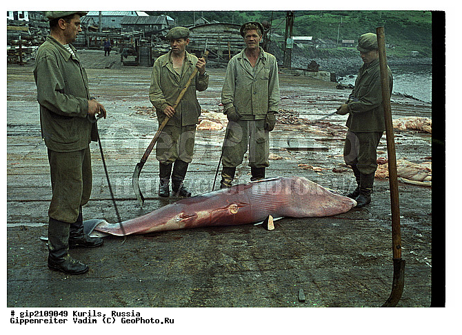 ������, �������� ������, ���������� ��������