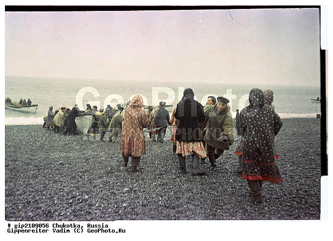 �����, �������, �������, ���������� ��������