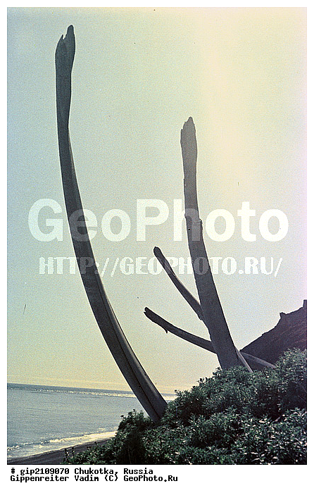 �����, �������, �������, ���������� ��������