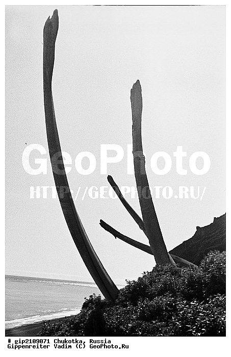 �����, �������, �������, ���������� ��������