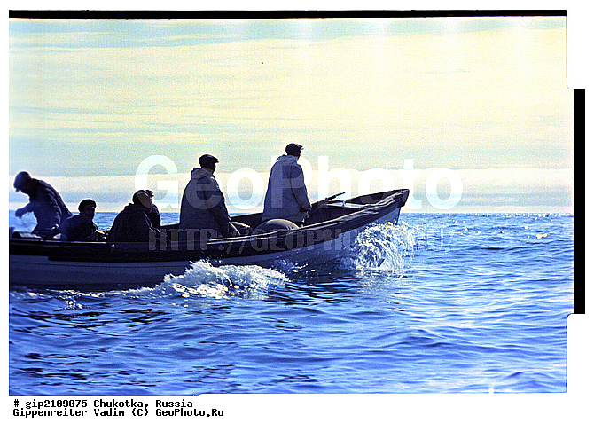 �����, �������, �������, ���������� ��������