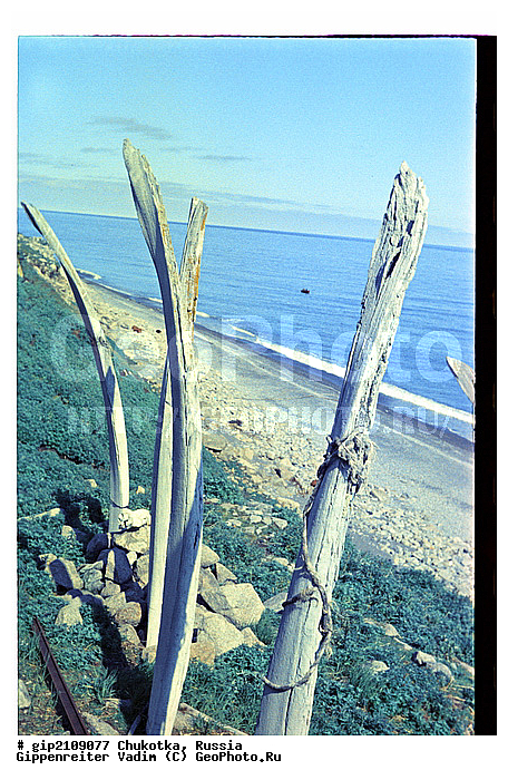 �����, �������, �������, ���������� ��������