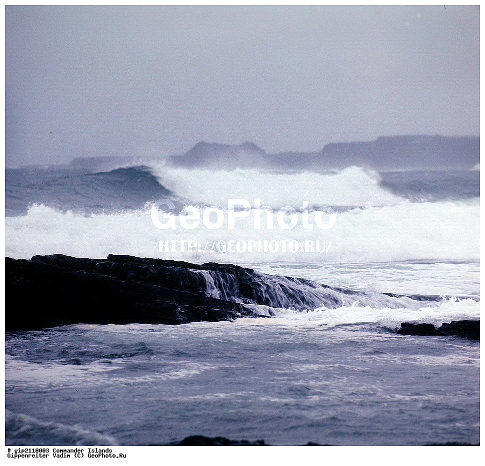 ������������ �������, �������� ����������,  1971 �, ������, ������� ������, ������ �������, ��������� ����, ���� �������, ������� � ������, ��������, ��������, ����� �����, ���������� ���� ������, ���������, ����������, ������������ ����������, ��������� ����