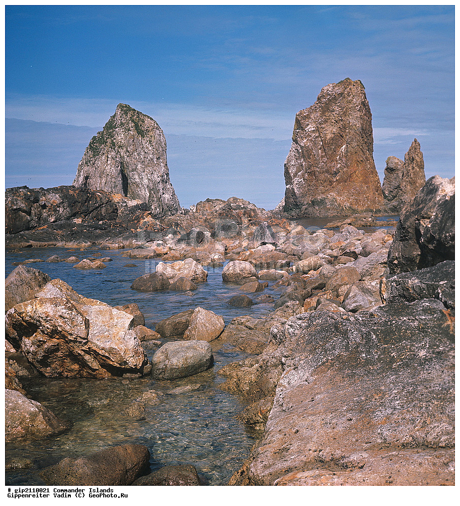 ������������ �������, �������� ����������,  1971 �, ������, ������� ������, ������ �������, ��������� ����, ���� �������, ������� � ������, ��������, ��������, ����� �����, ���������� ���� ������, ���������, ����������, ������������ ����������, ��������� ����