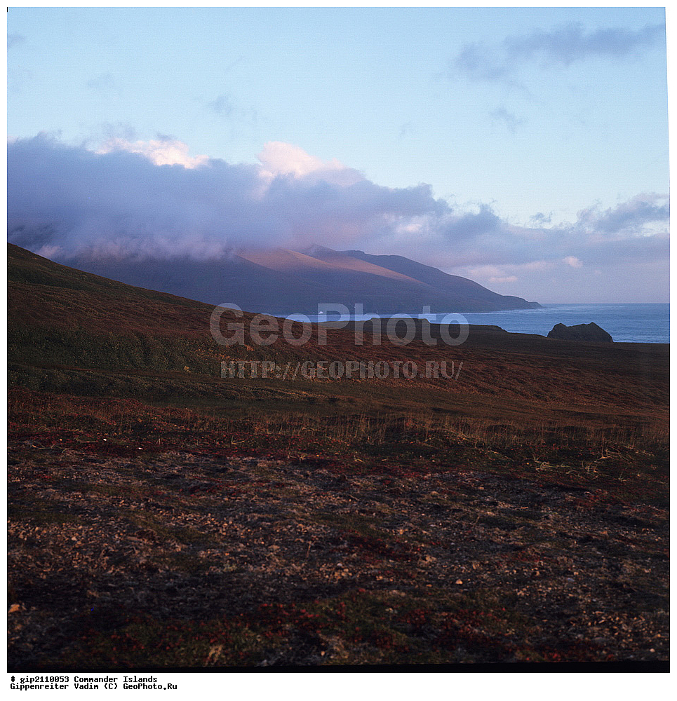 ������������ �������, �������� ����������,  1971 �, ������, ������� ������, ������ �������, ��������� ����, ���� �������, ������� � ������, ��������, ��������, ����� �����, ���������� ���� ������, ���������, ����������, ������������ ����������, ��������� ����