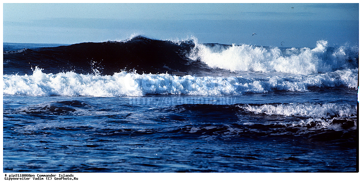 ������������ �������, �������� ����������,  1971 �, ������, ������� ������, ������ �������, ��������� ����, ���� �������, ������� � ������, ��������, ��������, ����� �����, ���������� ���� ������, ���������, ����������, ������������ ����������, ��������� ����