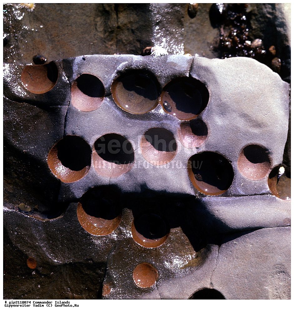 ������������ �������, �������� ����������,  1971 �, ������, ������� ������, ������ �������, ��������� ����, ���� �������, ������� � ������, ��������, ��������, ����� �����, ���������� ���� ������, ���������, ����������, ������������ ����������, ��������� ����