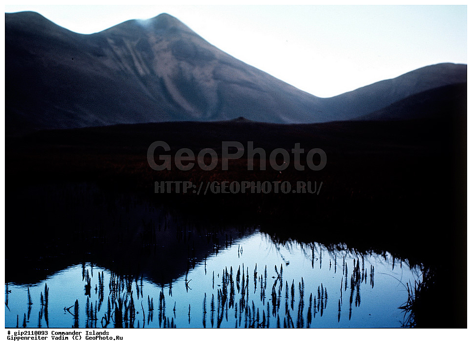 ������������ �������, �������� ����������,  1971 �, ������, ������� ������, ������ �������, ��������� ����, ���� �������, ������� � ������, ��������, ��������, ����� �����, ���������� ���� ������, ���������, ����������, ������������ ����������, ��������� ����