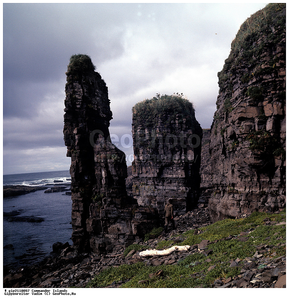 ������������ �������, �������� ����������,  1971 �, ������, ������� ������, ������ �������, ��������� ����, ���� �������, ������� � ������, ��������, ��������, ����� �����, ���������� ���� ������, ���������, ����������, ������������ ����������, ��������� ����