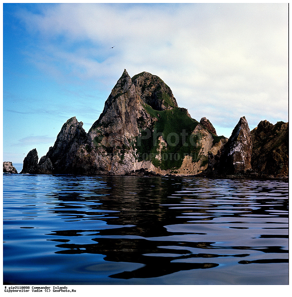 ������������ �������, �������� ����������,  1971 �, ������, ������� ������, ������ �������, ��������� ����, ���� �������, ������� � ������, ��������, ��������, ����� �����, ���������� ���� ������, ���������, ����������, ������������ ����������, ��������� ����