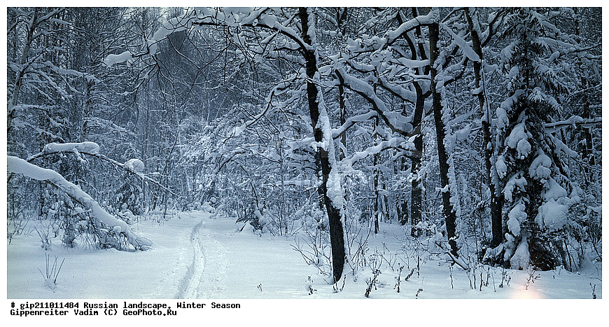 ����� ������������, ������� ����, ����, ������