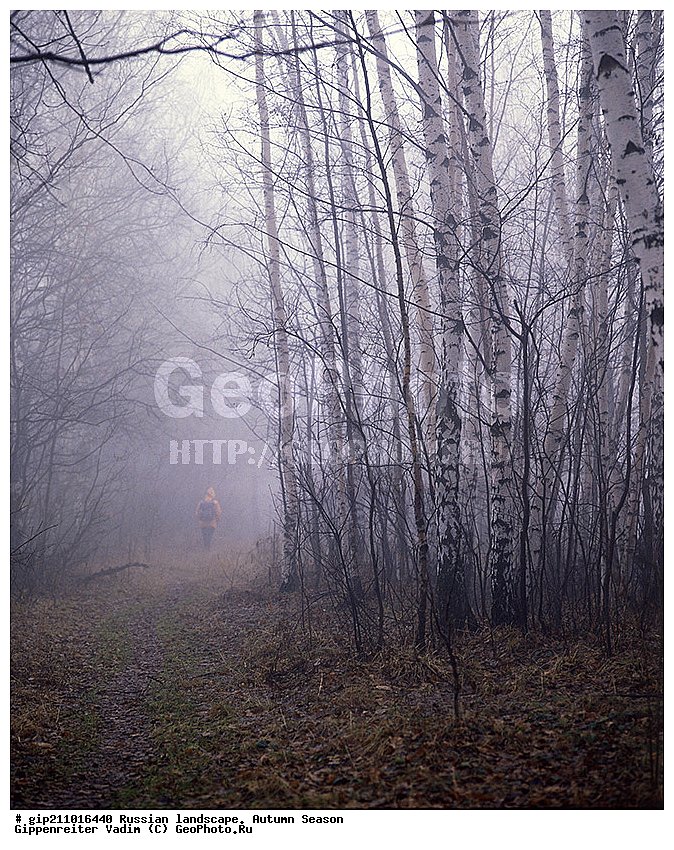 ������, ������� ����, �������, �����, ������, �������������, ����� ������������, 