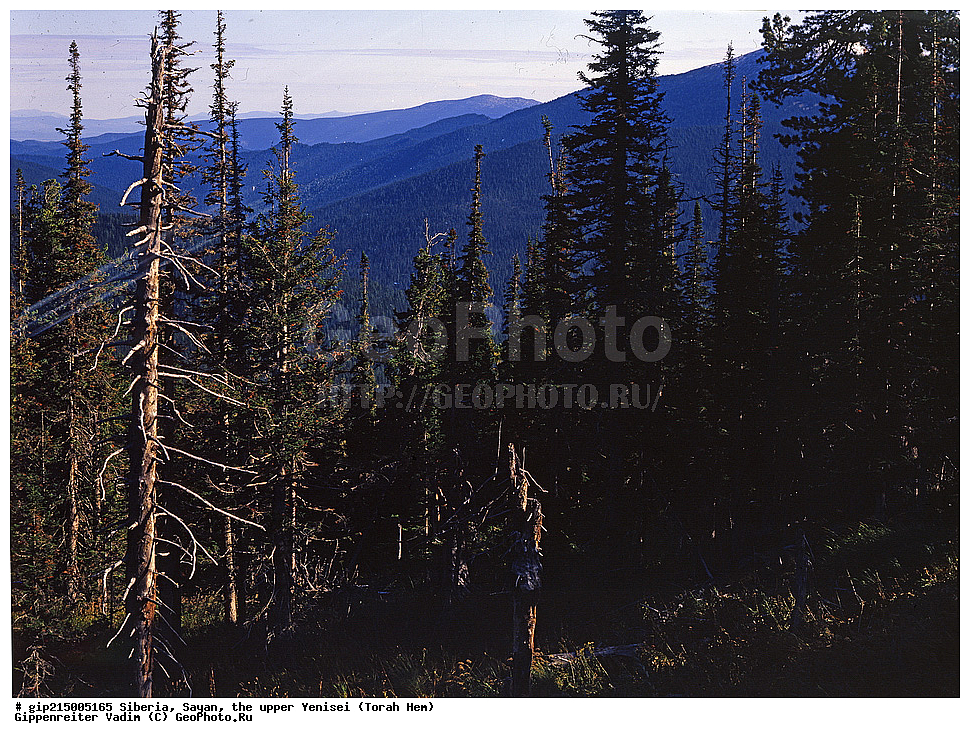 ������, �����, ����, ������,  ����� ���