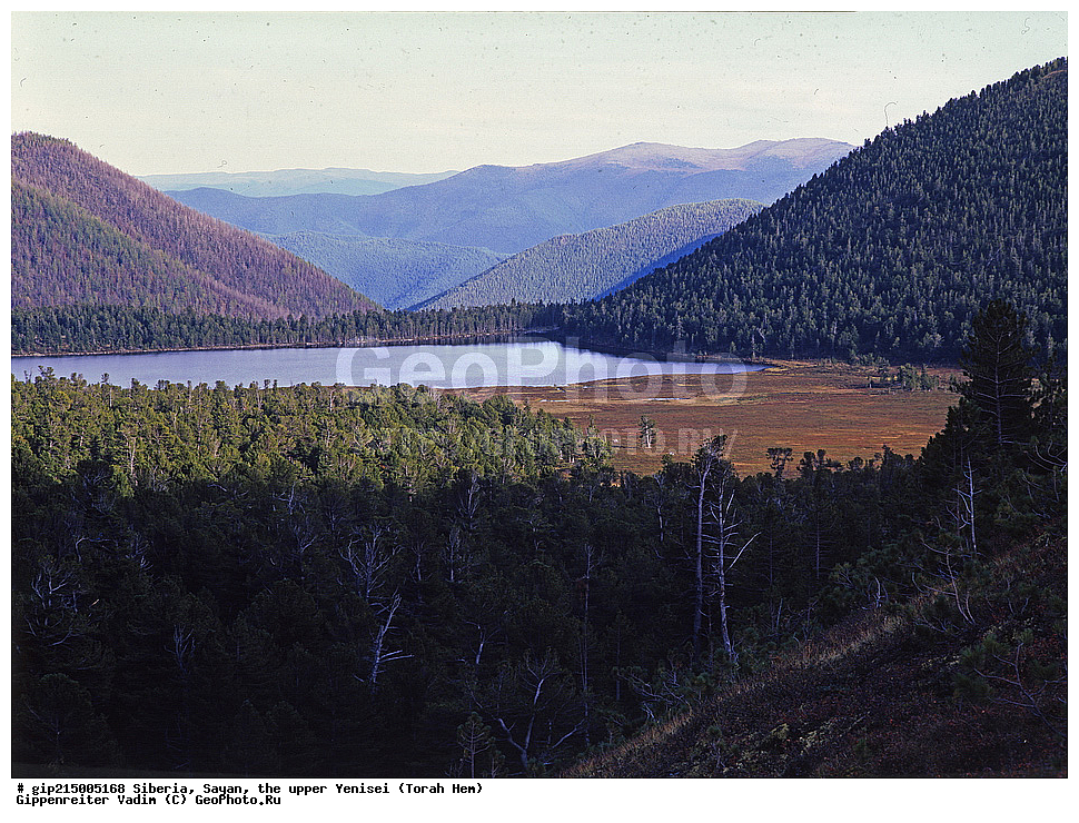 ������, �����, ����, ������,  ����� ���