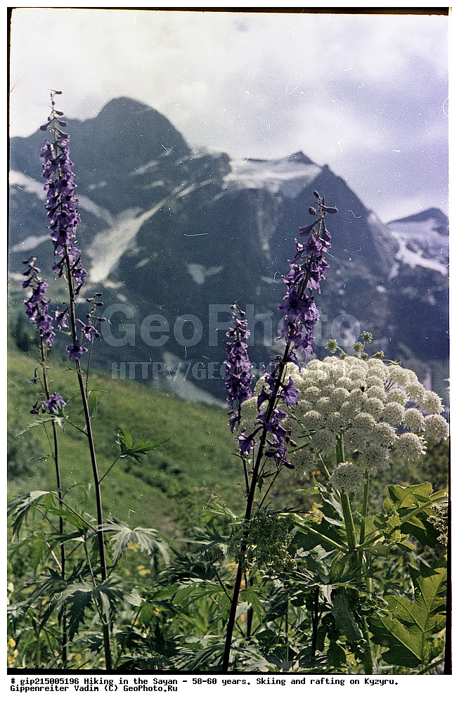 �����, �����, 1958, 1960, ����, ����, ����, �����, �������� ����������, �����