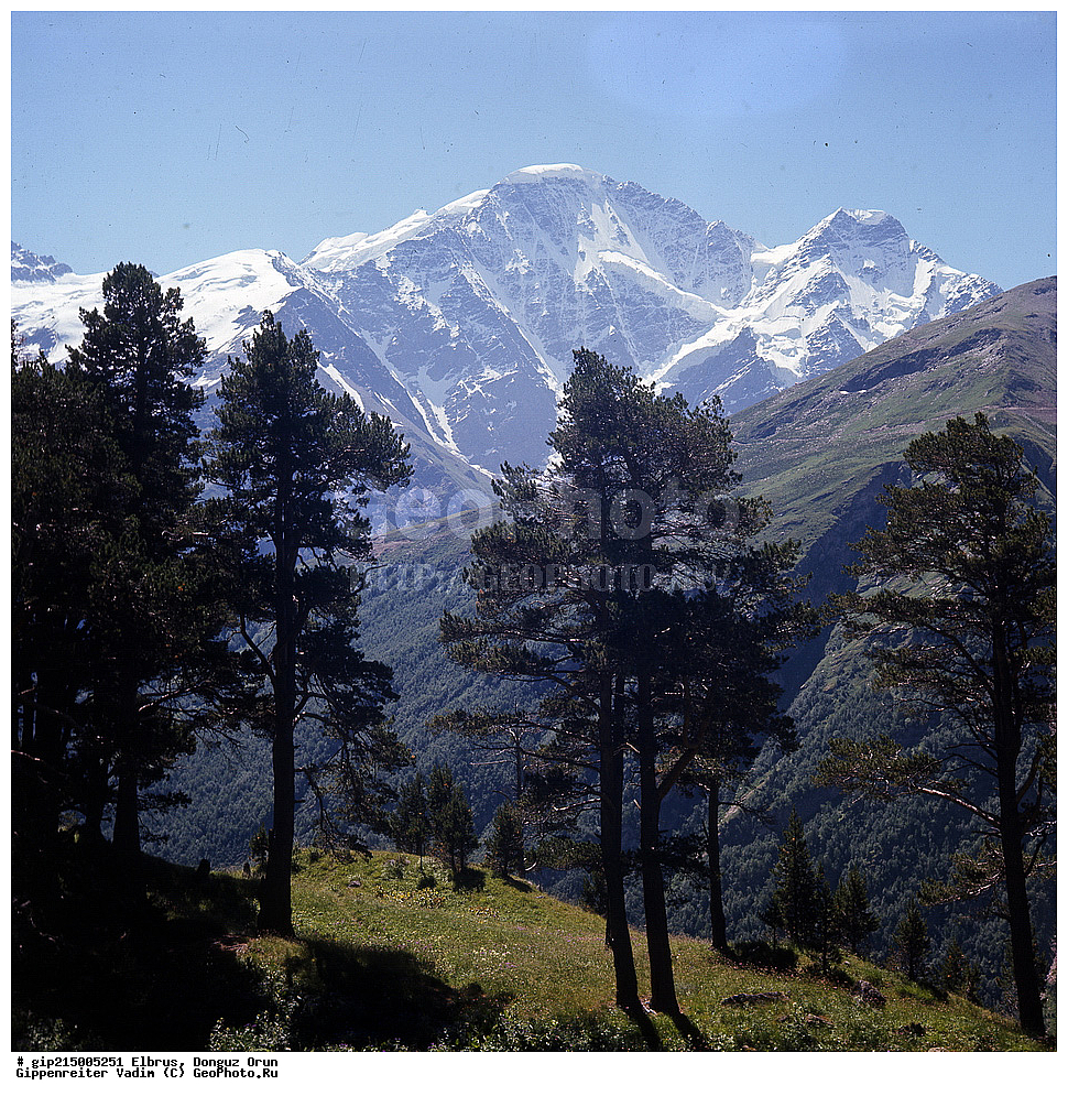 �������, ����, ������ ����