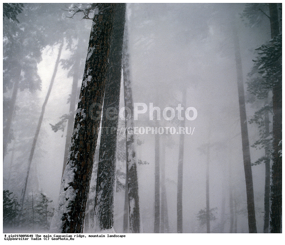 ������, ������, ����, ������