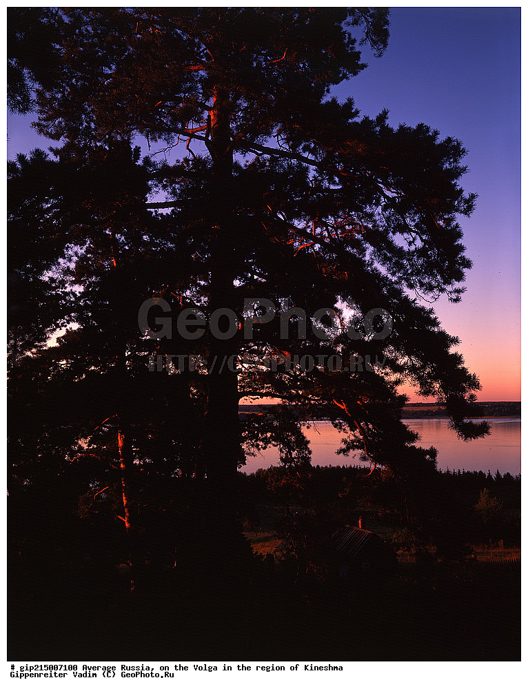 ������, �����, ����, �������