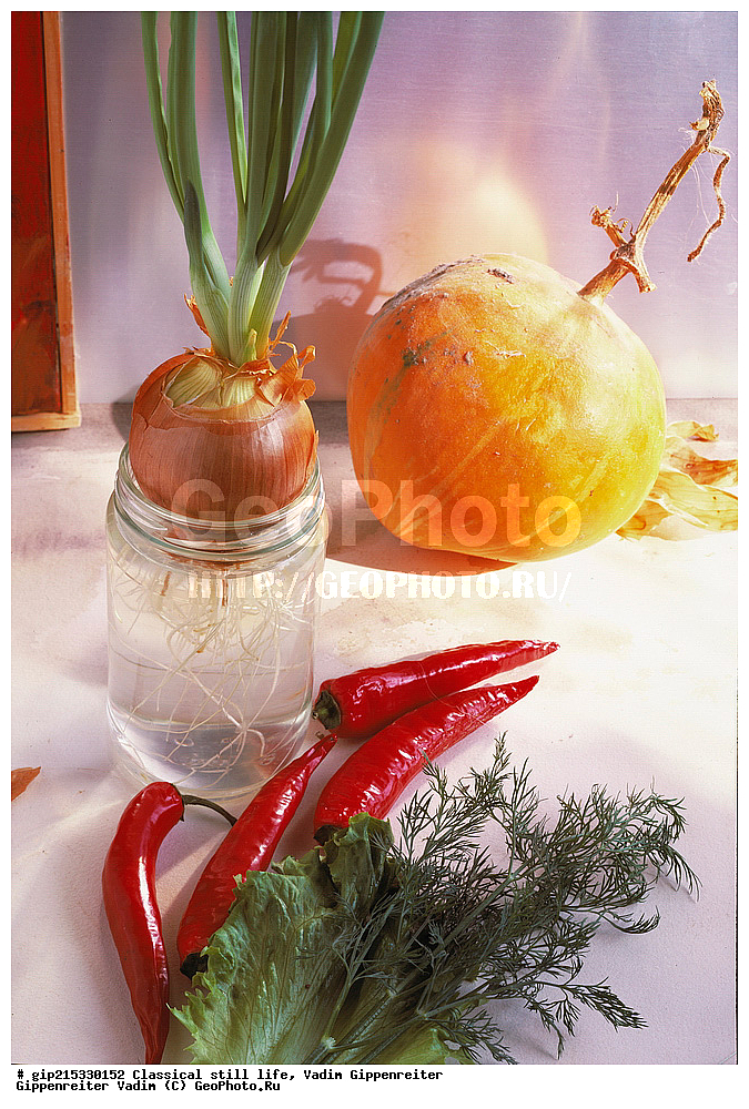 ���������, ���������, ��������, ����, ����������