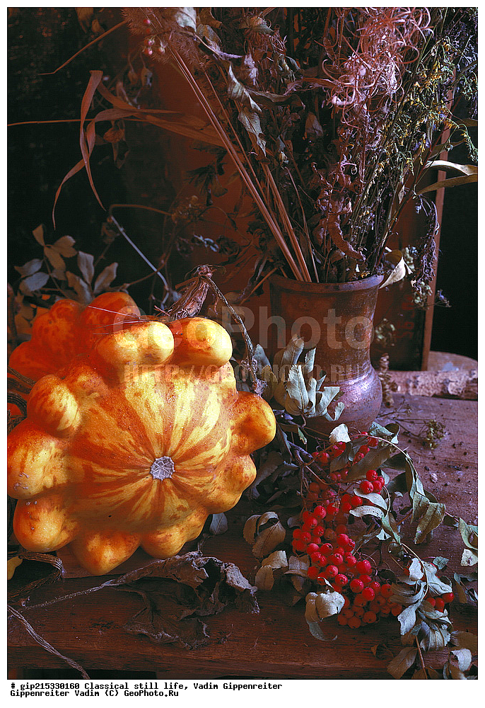 ���������, ���������, ��������, ����, ����������