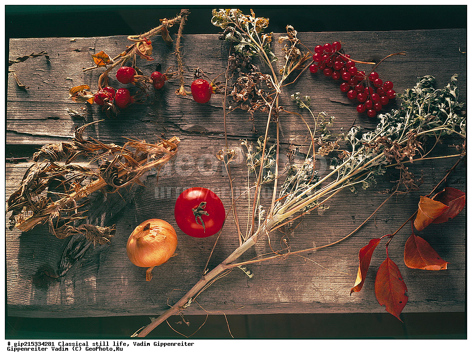 ���������, ���������, ��������, ����, ����������