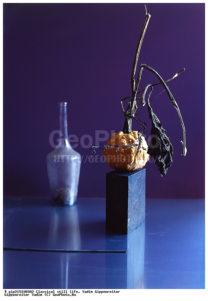 ����������, ���������, ���������, ��������, ����